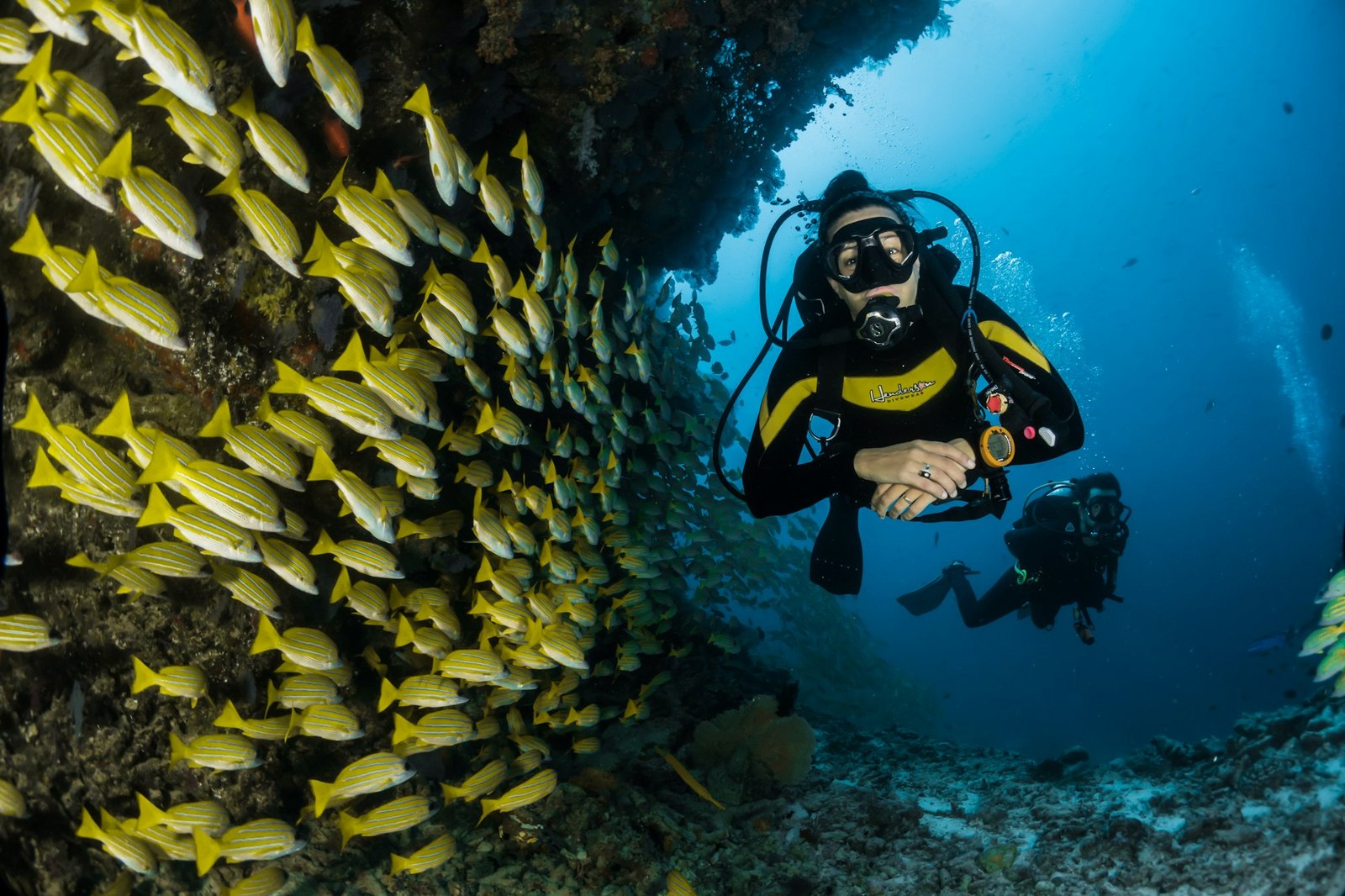 Discover scuba diving